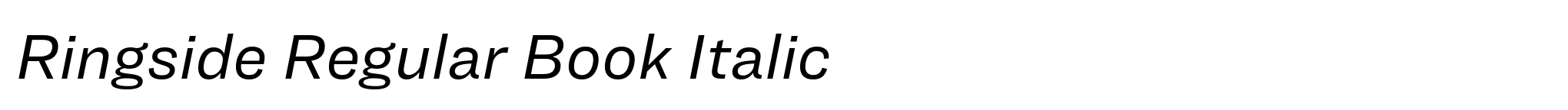 Ringside Regular Book Italic image
